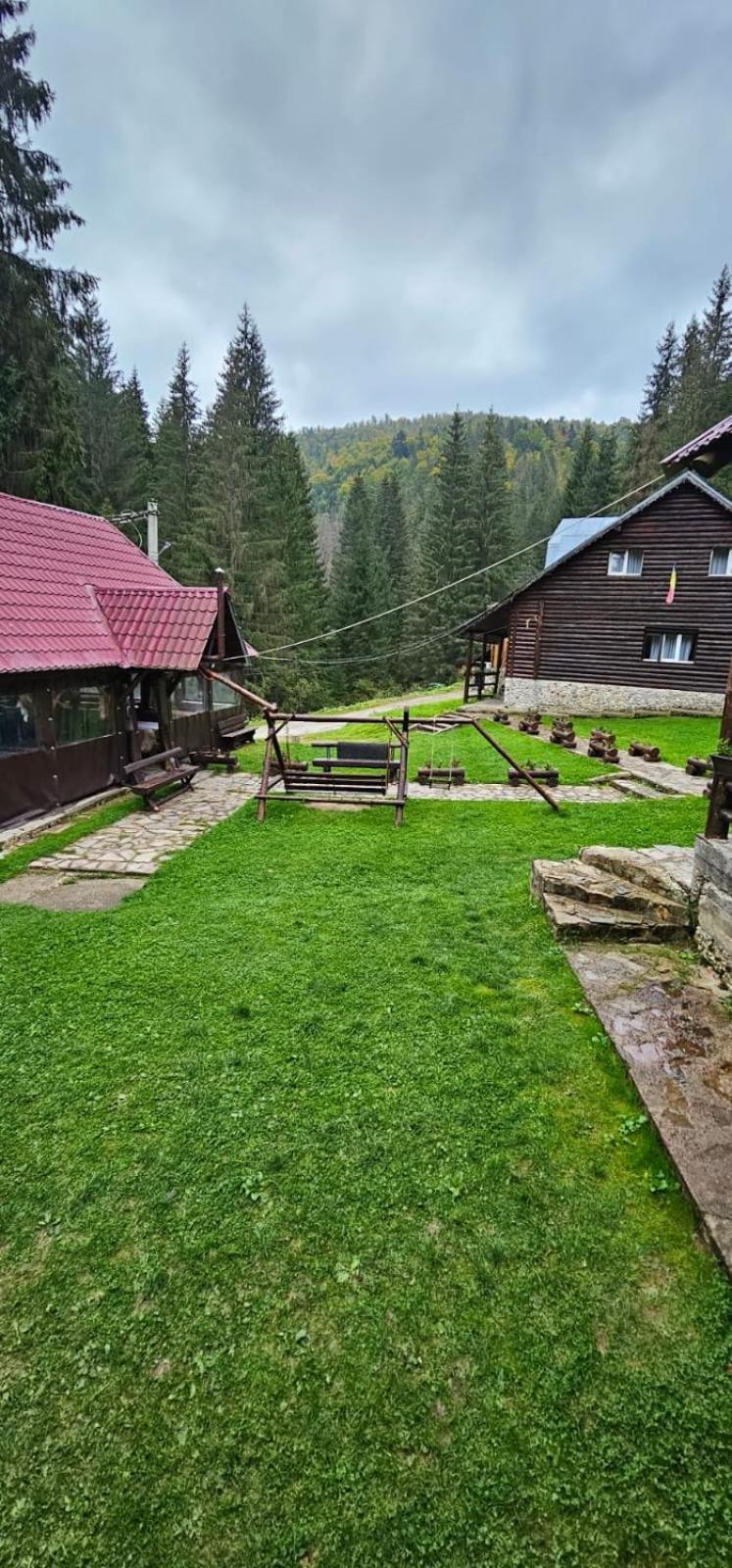 Cabana Patru Brazi Stâna de Vale Buitenkant foto