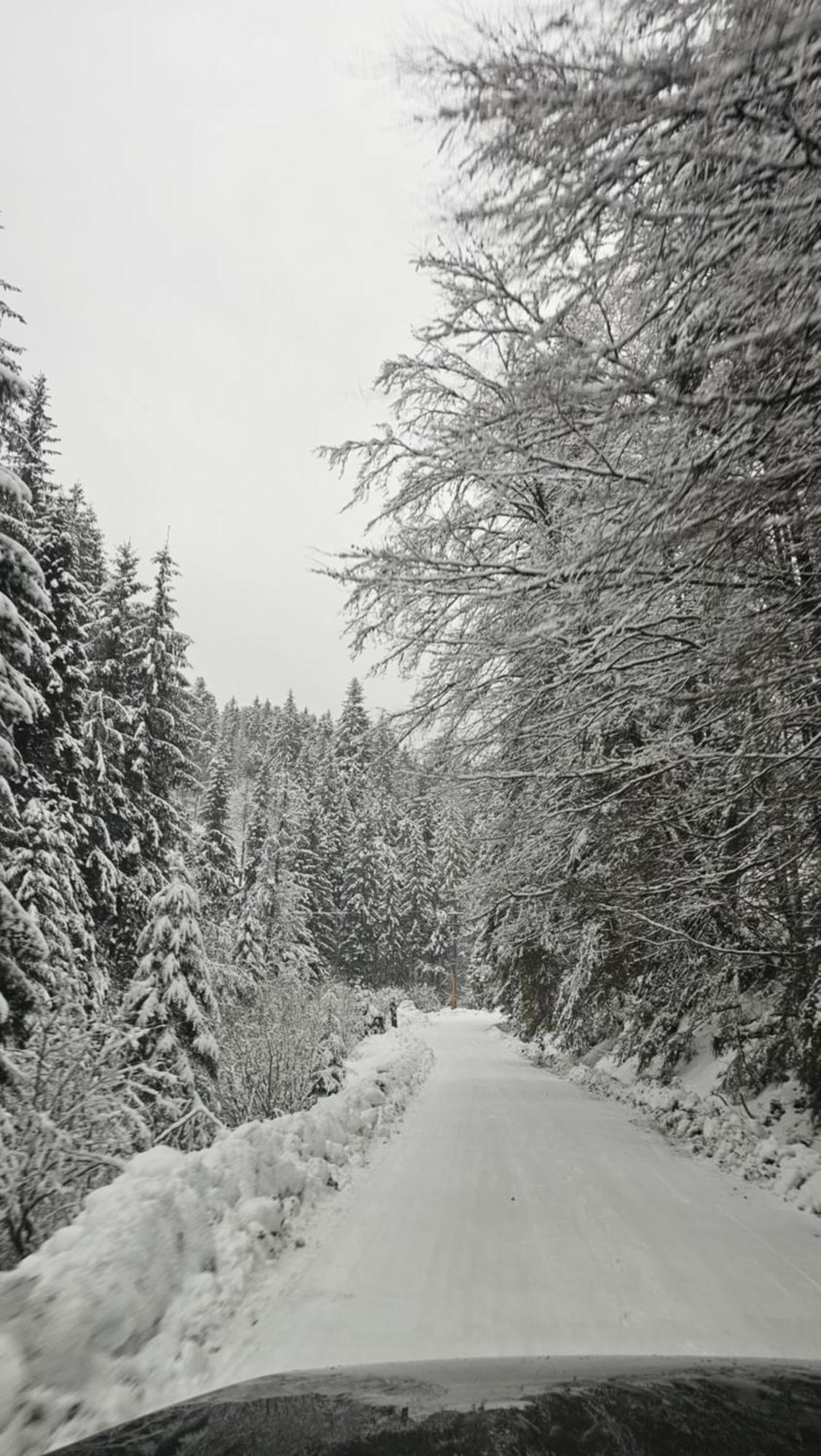 Cabana Patru Brazi Stâna de Vale Buitenkant foto